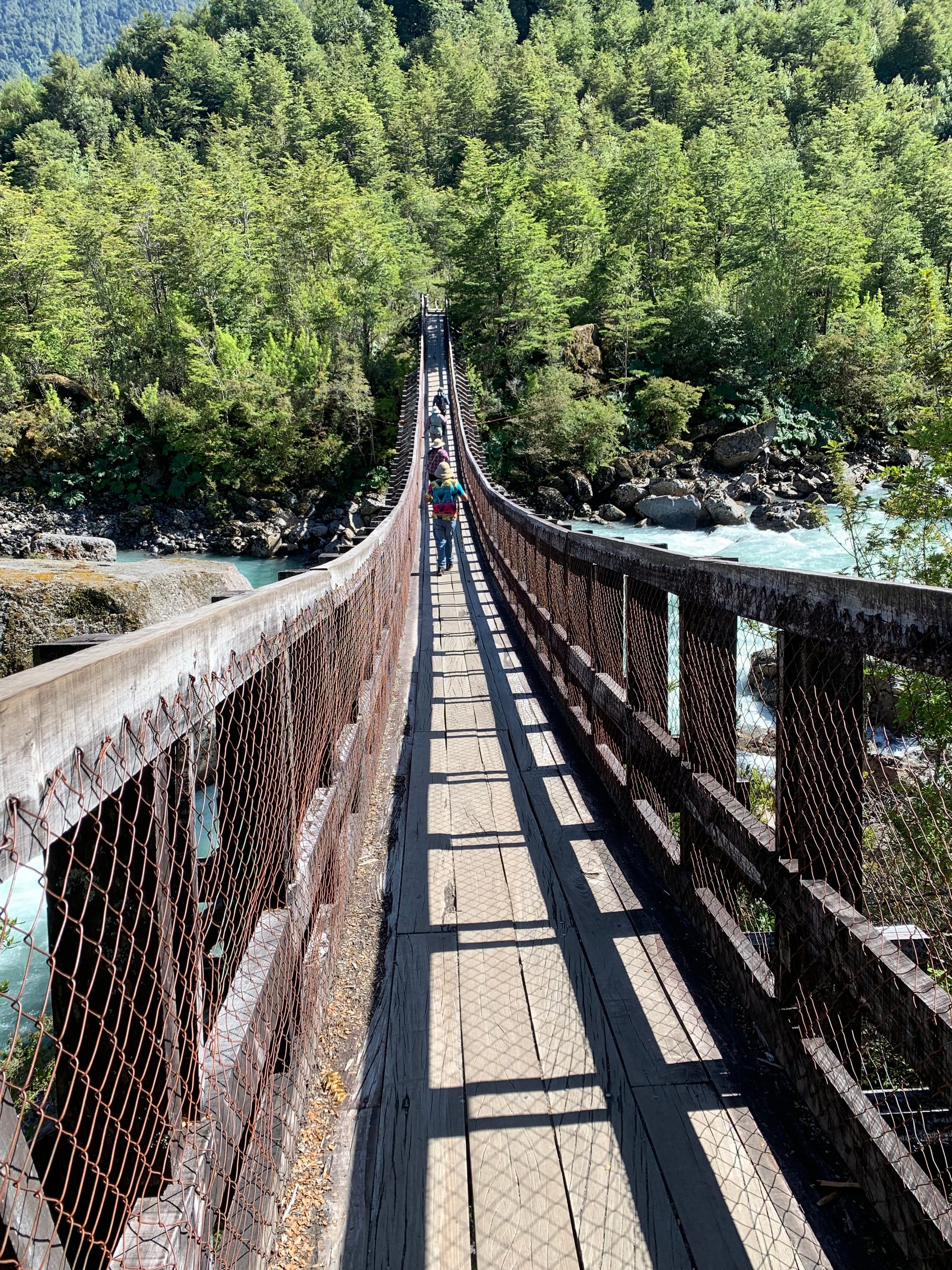 Brücke im Nationalpark