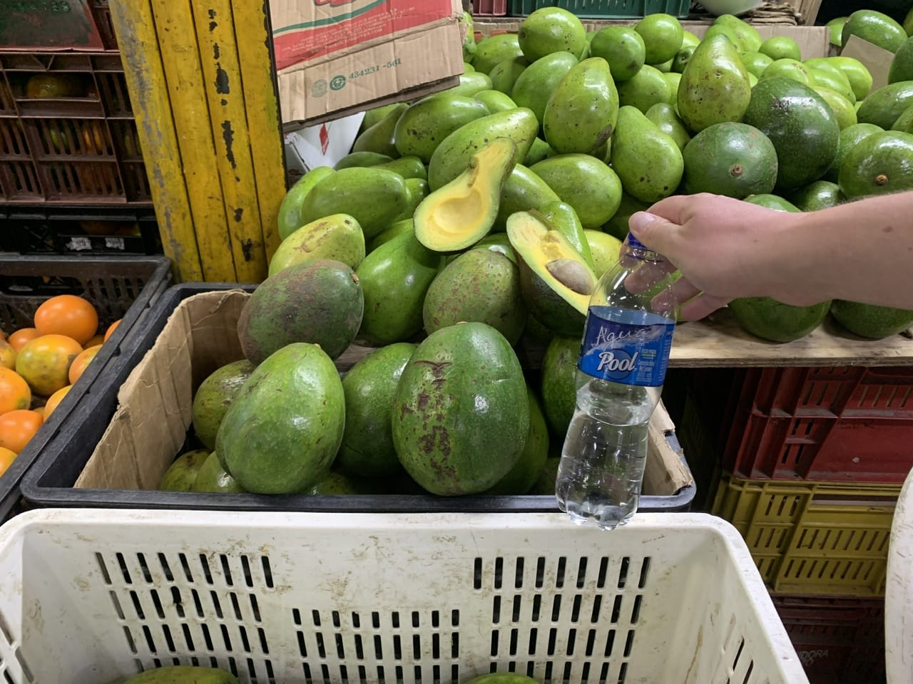 Avocados