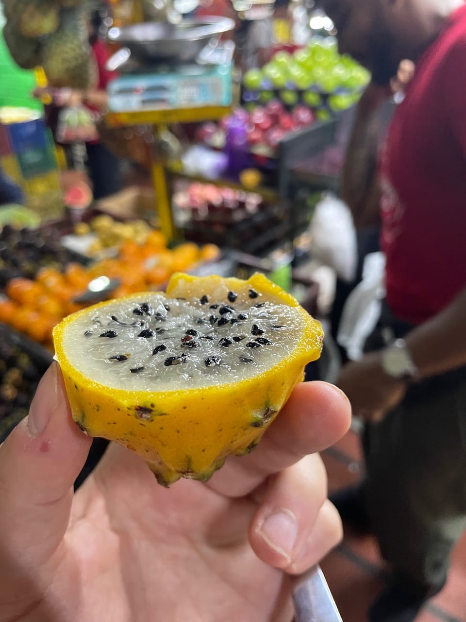 Drachenfrucht/Pitahaya